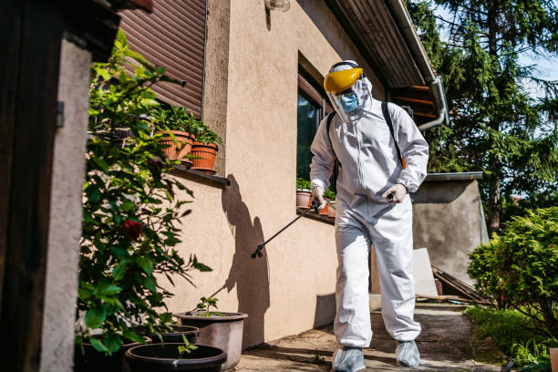 Best Bed Bug Extermination  in Fairfax, SC
