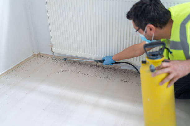 Best Local Pest Control Services  in Fairfax, SC